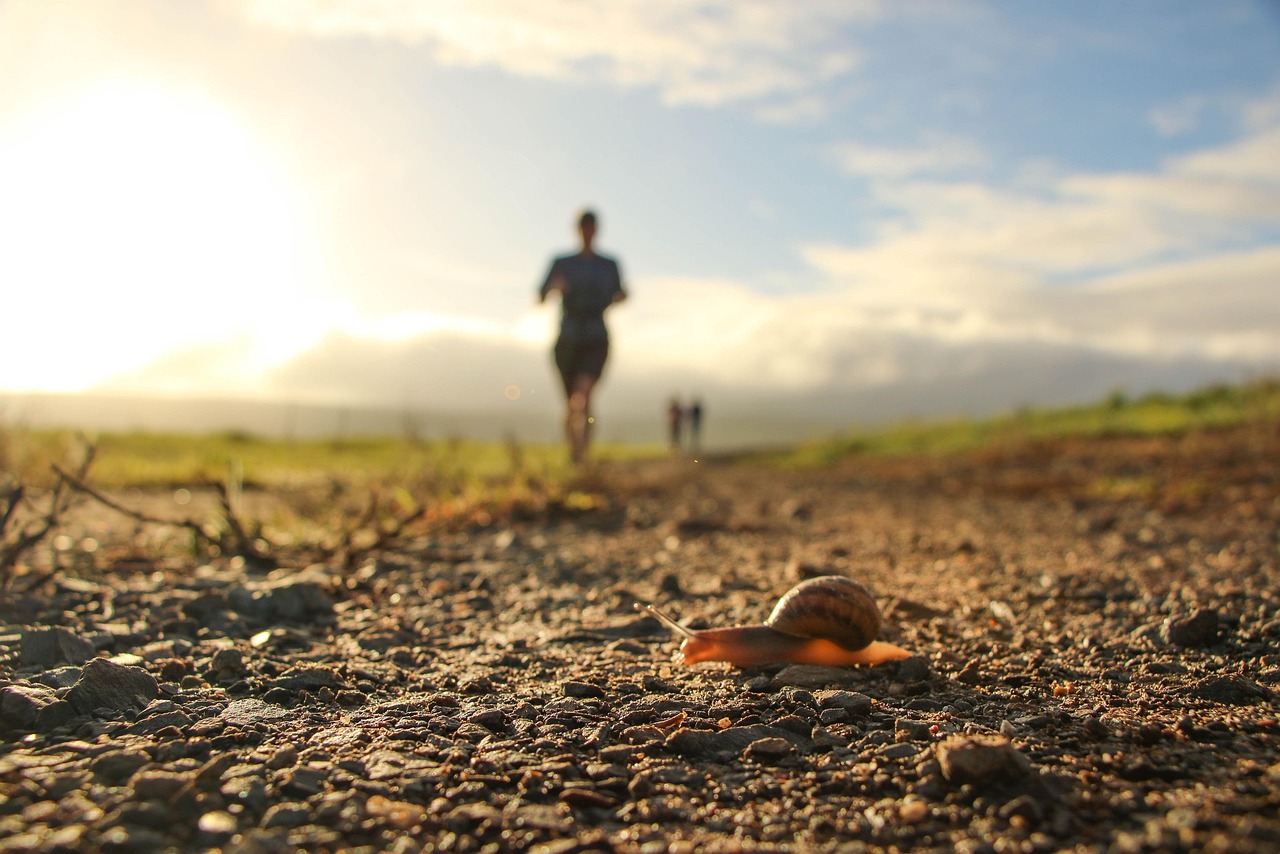 trailrun-4430944_1280